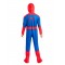 Spider-Man Deluxe Brand New Day Child Costume