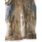 Chewbacca Collector's Edition for Adult Star Wars Chewbacca Collector's Edition for Adult Star Wars