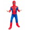 Spider-Man Deluxe Brand New Day Child Costume