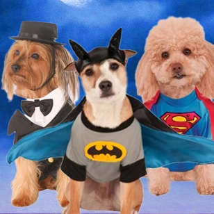 Pet Costumes